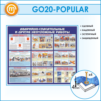 ����� ���������-������������ � ������ ���������� ������� (GO-20)