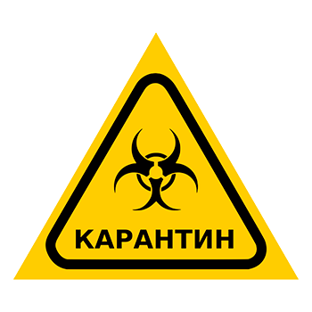 Знак «Карантин», Q13.6 (металл, сторона 300 мм)