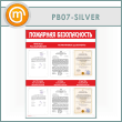 ����� ��������� ������������� � 6 ��������� (PB-07-SILVER)